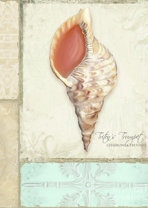 Tritons Trumpet Greeting Card featuring the painting Inspired Coast Collage - Triton's Trumpet Shell w Vintage Tile by Audrey Jeanne Roberts