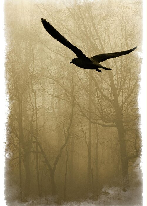 Bird Greeting Card featuring the photograph Into the Fog by Harry Spitz