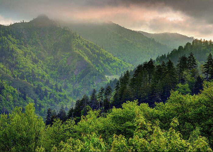 Smoky Mountains Greeting Card featuring the photograph Into The Smokies by Mike Eingle
