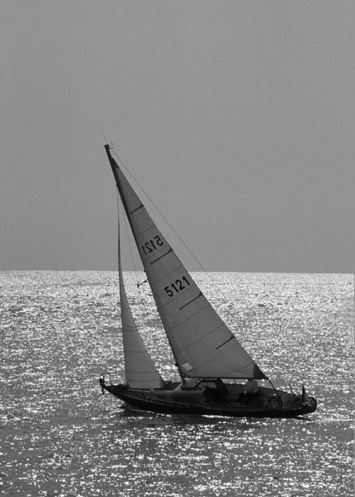 Sailing Greeting Card featuring the photograph Into the Wind by David Shuler