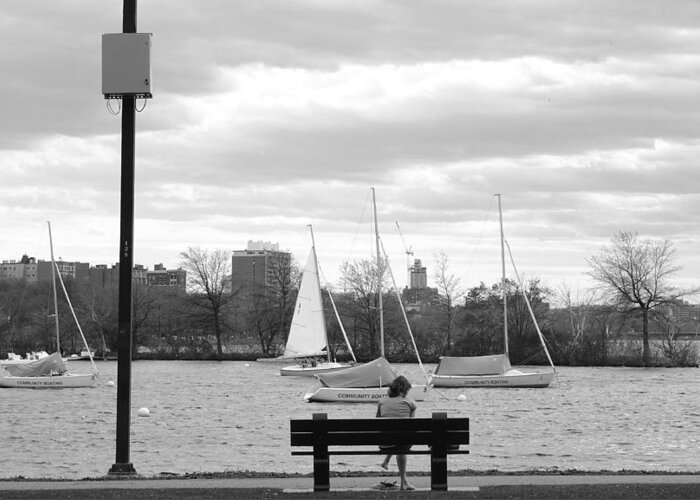 River Greeting Card featuring the photograph Introspection on the Charles by Christopher Brown