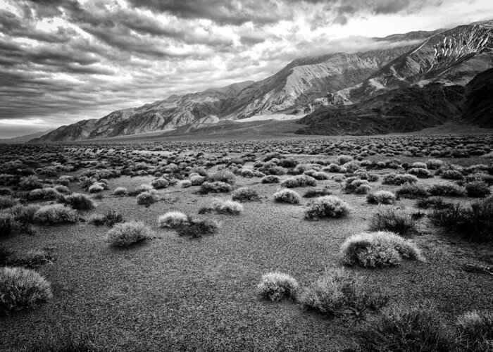 Black And White Greeting Card featuring the photograph Inyo Mountain Morning in Black and White by Troy Montemayor
