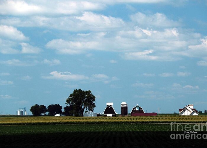 Farm Greeting Card featuring the photograph Iowa Farm by Yumi Johnson