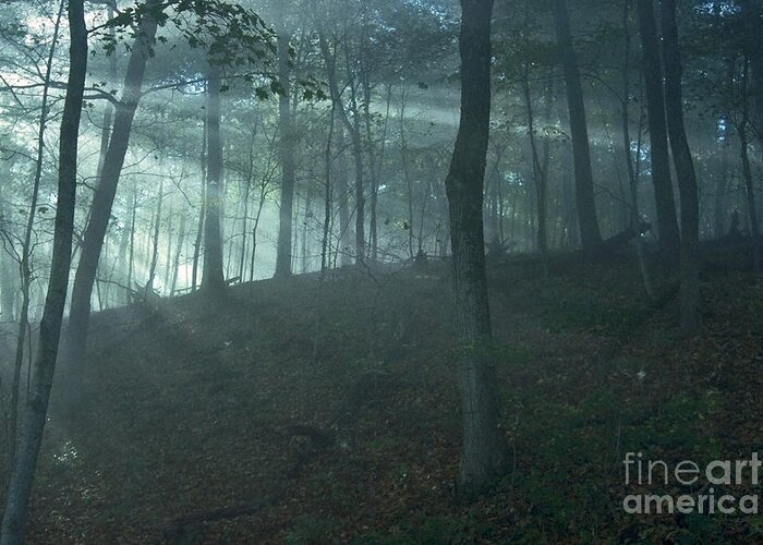 Forest Greeting Card featuring the photograph Iowa Fog rays by Sven Brogren