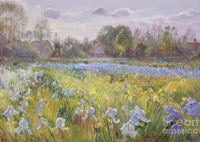 Iris Field In The Evening Light Greeting Card featuring the painting Iris Field in the Evening Light by Timothy Easton