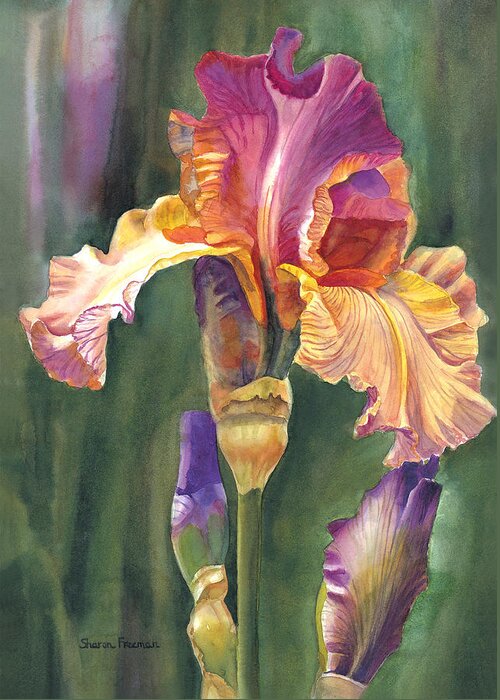 Iris Greeting Card featuring the painting Iris on the Warm Side by Sharon Freeman