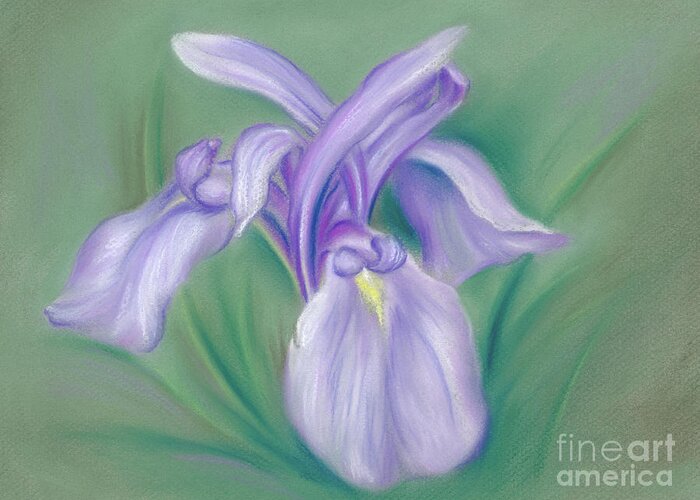 Botanical Greeting Card featuring the painting Iris Purple by MM Anderson