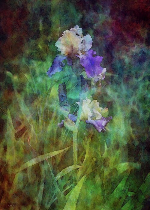 Impressionist Greeting Card featuring the photograph Irises 6618 IDP_3 by Steven Ward