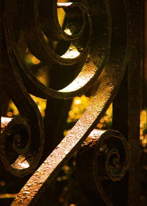 Gate Greeting Card featuring the photograph Iron Work Detail by Susanne Van Hulst