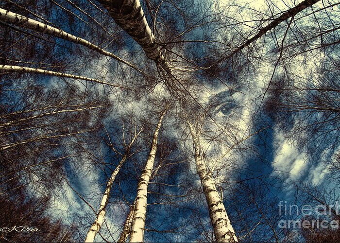 Trees Greeting Card featuring the photograph It is all about perspective by Kira Bodensted