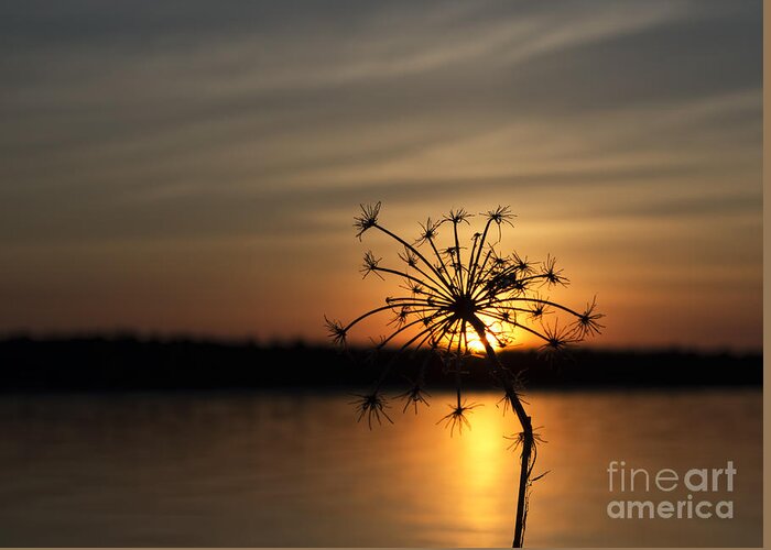 Sunset Greeting Card featuring the photograph It's Nature's Way Of Receiving You by Terry Doyle