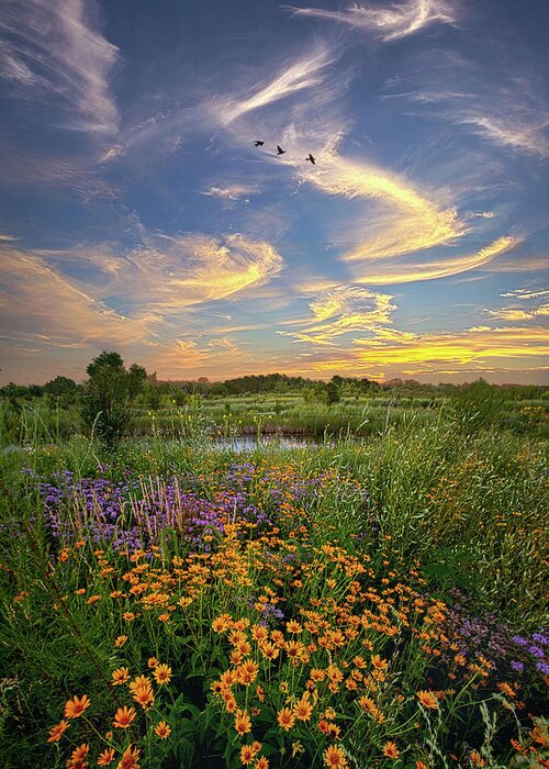 Scenic Greeting Card featuring the photograph It's Time To Relax by Phil Koch