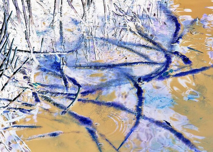 Surreal-nature-photos Greeting Card featuring the digital art Blue Mangrove I.C. by John Hintz