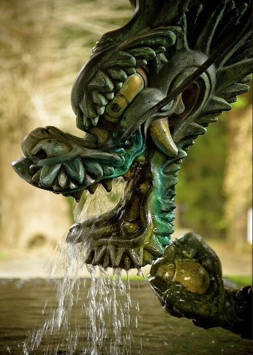 Fountain Greeting Card featuring the photograph Japanese Water Dragon by Sebastian Musial