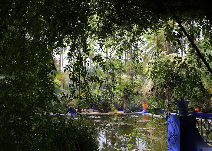 Jardin Majorelle Greeting Card featuring the photograph Jardin Majorelle 2 by Andrew Fare