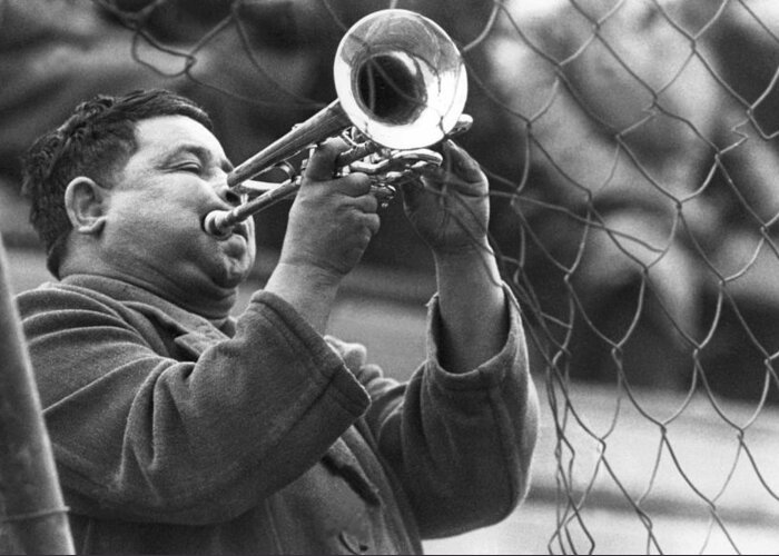 Adult Greeting Card featuring the photograph Jazz behind a fence by Emanuel Tanjala