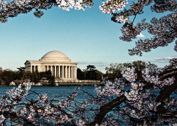 Memorial Greeting Card featuring the photograph Jefferson Memorial In Spring by Christopher Holmes