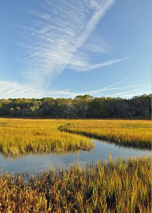 Jekyll Greeting Card featuring the photograph Jekyll Island Marsh High Tide and Sky by Bruce Gourley