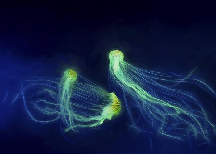 Jellyfish Greeting Card featuring the photograph Jellyfish Tango by Steven Richardson
