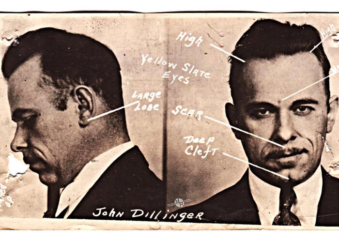 John Dillinger Greeting Card featuring the painting John Dillinger Mug Shot Identifying Features by Tony Rubino