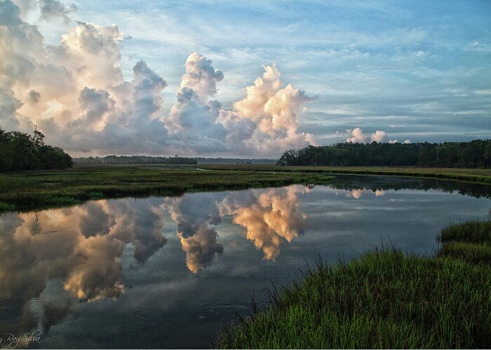 Harris Neck Greeting Card featuring the photograph Julienton River Refections by Ray Silva