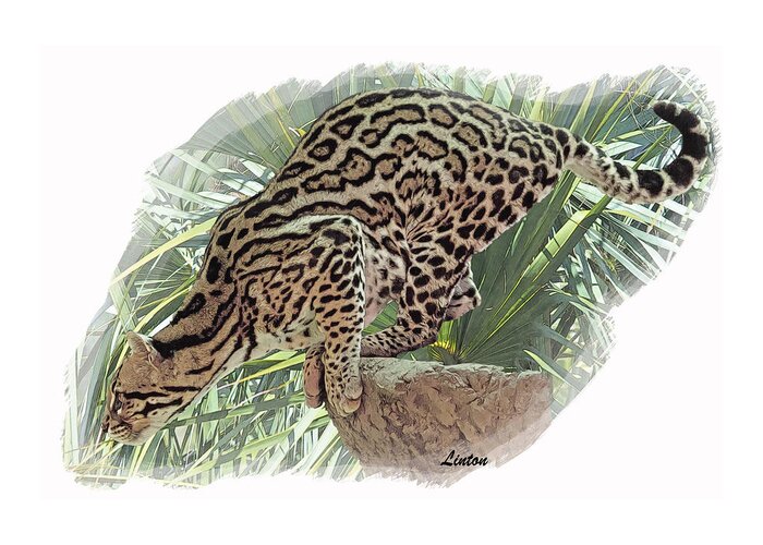 Ocelot Greeting Card featuring the digital art Pouncing Ocelot by Larry Linton