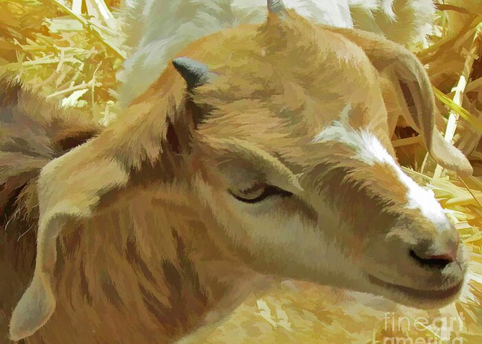 Animal Greeting Card featuring the photograph Just a Kid by Joyce Creswell