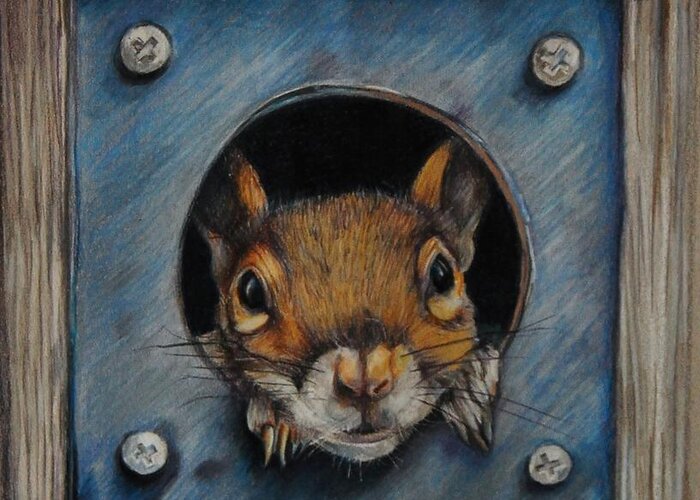 Squirrel Greeting Card featuring the drawing Just Hanging Out by Jean Cormier