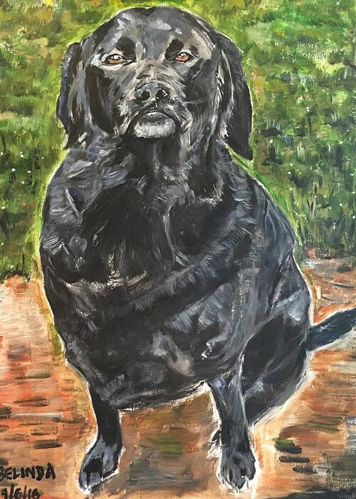 Dog Greeting Card featuring the painting K O D O K by Belinda Low