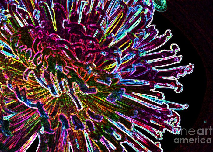 Flowers In The Kitchen Greeting Card featuring the photograph Kaleidoscopic by Julie Lueders 