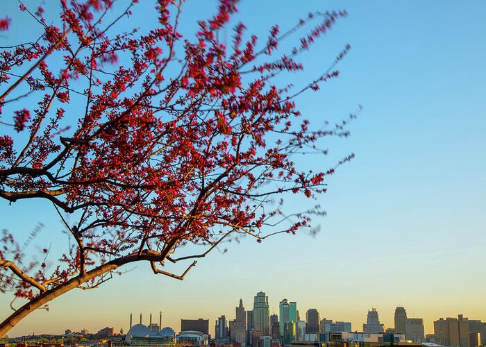 America Greeting Card featuring the photograph Kansas City Skyline in Spring by Gregory Ballos