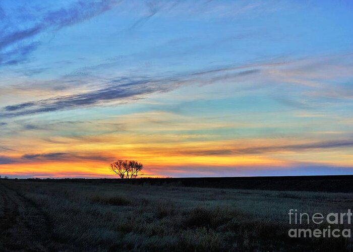 Tree Greeting Card featuring the photograph Kansas sunrise1 by Merle Grenz