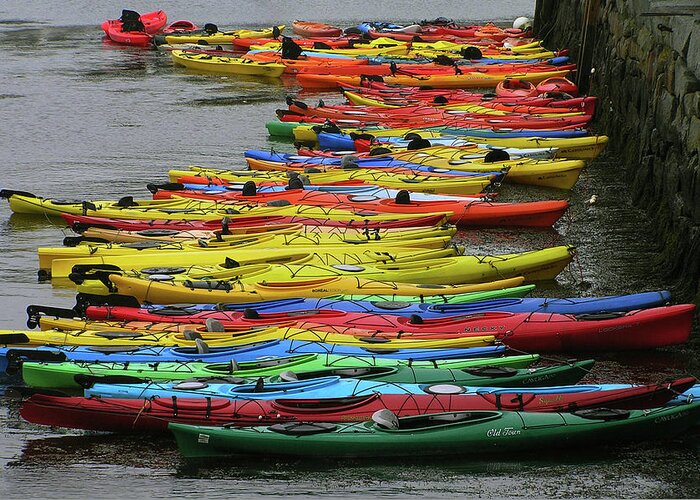 It's A Rainbow Of Kayaks! Greeting Card featuring the photograph Kayaks by Cheryl Day