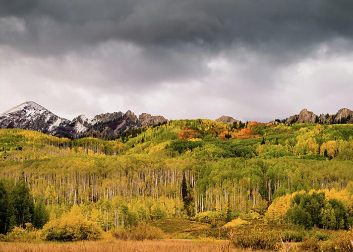Aspen Greeting Card featuring the photograph Kebler Pass by Stephen Holst