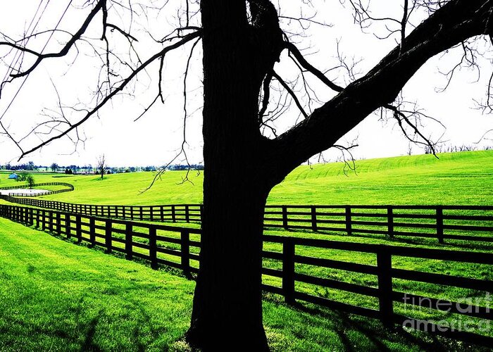 Kentucky Greeting Card featuring the photograph Kentucky Horse Country by Merle Grenz