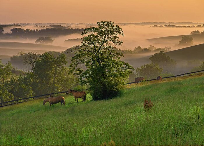 2016-05-22 Greeting Card featuring the photograph Kentucky morning by Ulrich Burkhalter
