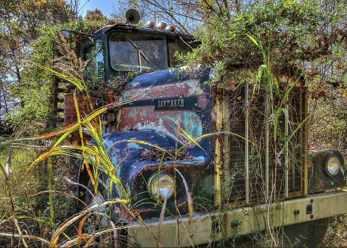Trucks Greeting Card featuring the photograph Kenworth in the Weeds by Jerry Gammon