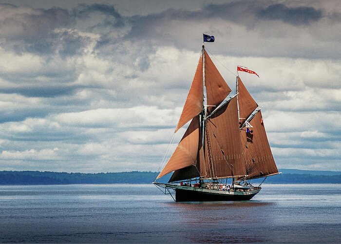 Windjammer Greeting Card featuring the photograph Ketch Angelique by Fred LeBlanc