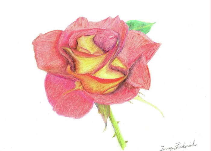 Rose Greeting Card featuring the drawing Ketchup and Mustard Rose by Terry Frederick