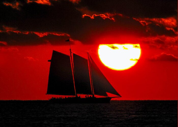Orange Greeting Card featuring the photograph Key West Sunset Sail Silhouette by Bob Slitzan
