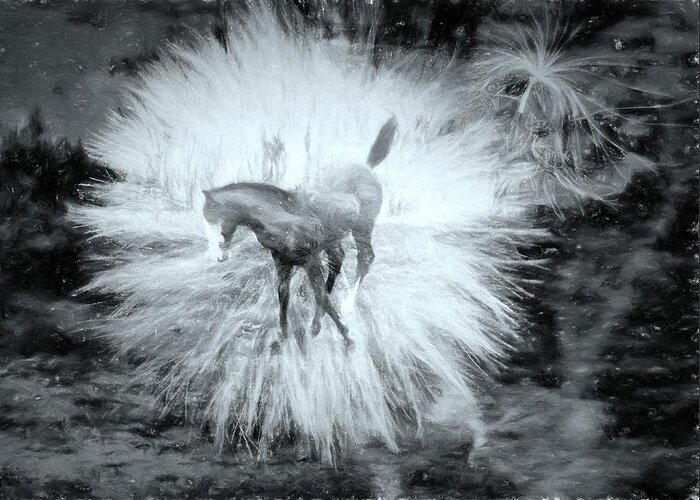 Horse Greeting Card featuring the photograph Kicking Up Heels by Kathy Bassett