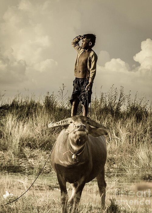 Boy; Cow ; Trip ; See ; Future ; Grass ; Lake ; Play Greeting Card featuring the photograph Kid and Cow by Arik S Mintorogo
