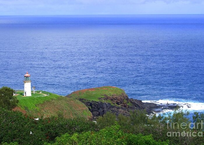 Lighthouse Greeting Card featuring the photograph Kilauea Lighthouse by Mary Deal