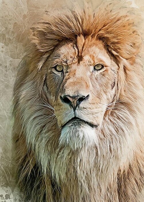 Lion Greeting Card featuring the photograph King of The Pride by Brian Tarr