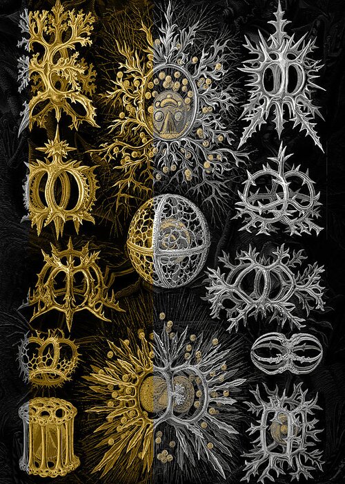 'beasts Creatures And Critters' Collection By Serge Averbukh Greeting Card featuring the digital art Kingdom of Silver Single-Celled Organisms by Serge Averbukh