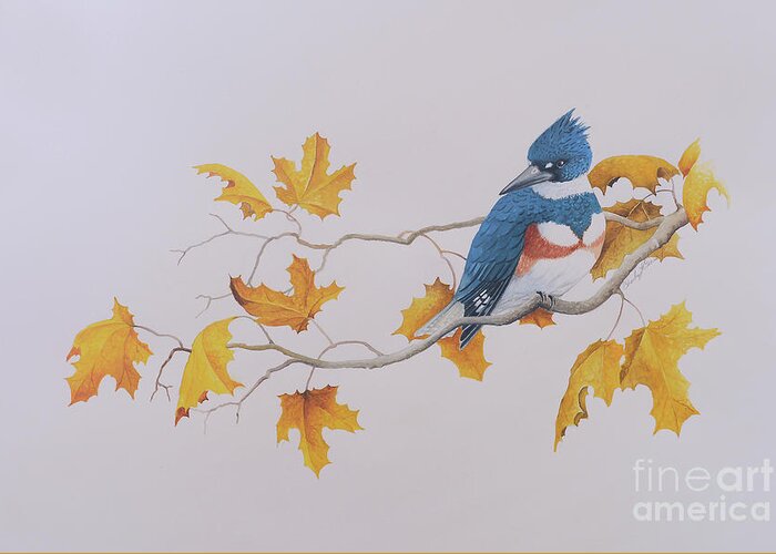 Bird Greeting Card featuring the painting Kingfisher by Charles Owens