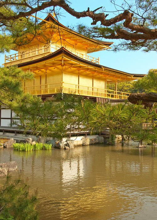 Japan Greeting Card featuring the photograph Kinkakuji Golden Pavilion Kyoto by Sebastian Musial