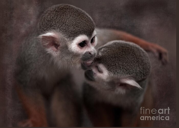 Monkeys Greeting Card featuring the photograph Kiss Me by Ang El