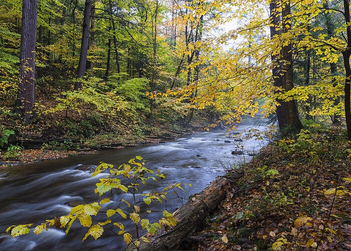 Fall Greeting Card featuring the photograph Kitchen Creek Solitude by Dennis Kowalewski
