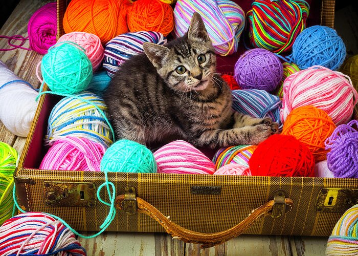 Tabby Greeting Card featuring the photograph Kitten In Suitcase With Yarn by Garry Gay